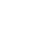 University of North Georgia banner logo