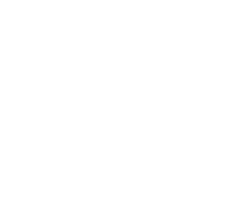 University of North Georgia banner logo